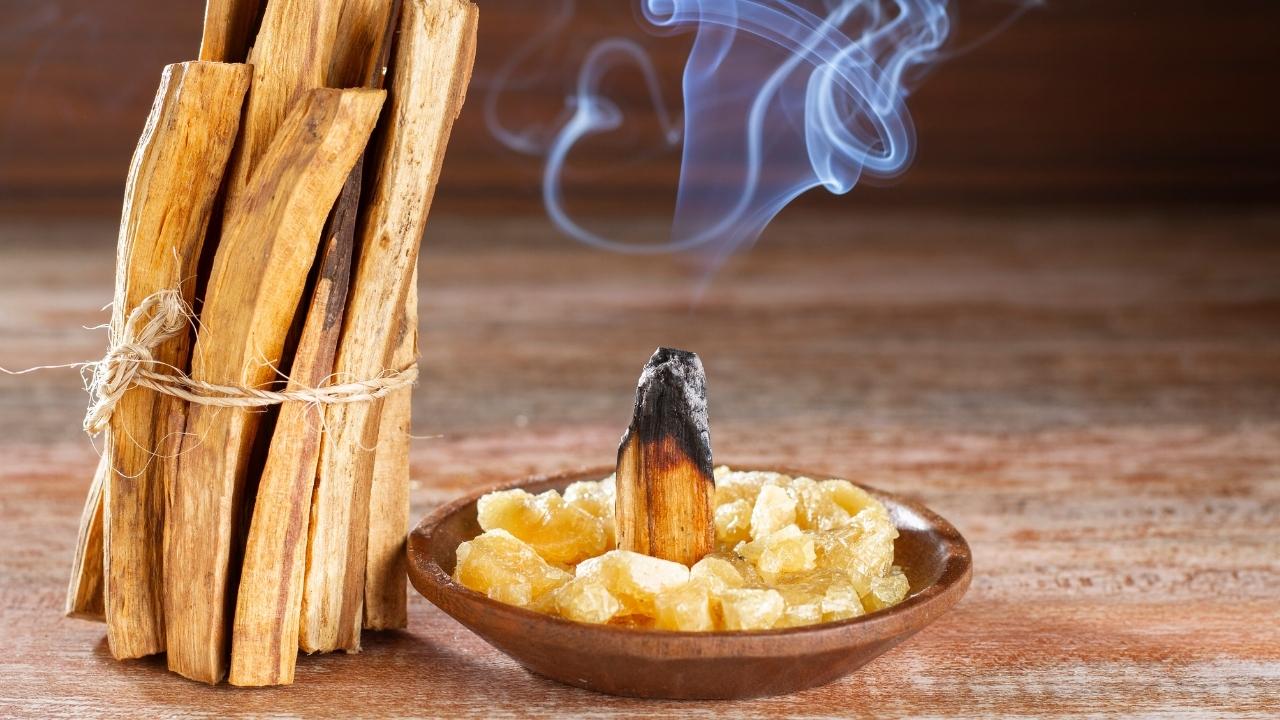 What Does Palo Santo Smell Like?